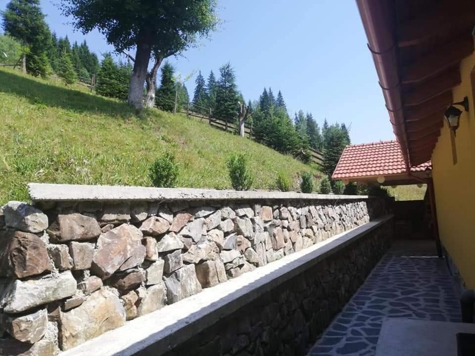 Villa Casa Anghel Bilbor Exterior foto